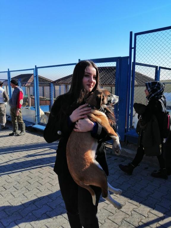 KÖPEK BARINAĞINI ZİYARET ETTİK. Muzaffer Bezircilioğlu Anadolu Lisesi